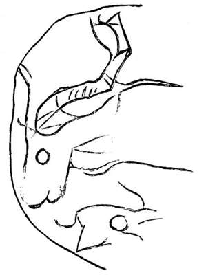 302x400 Stone Lamps Of The Palaeolithic