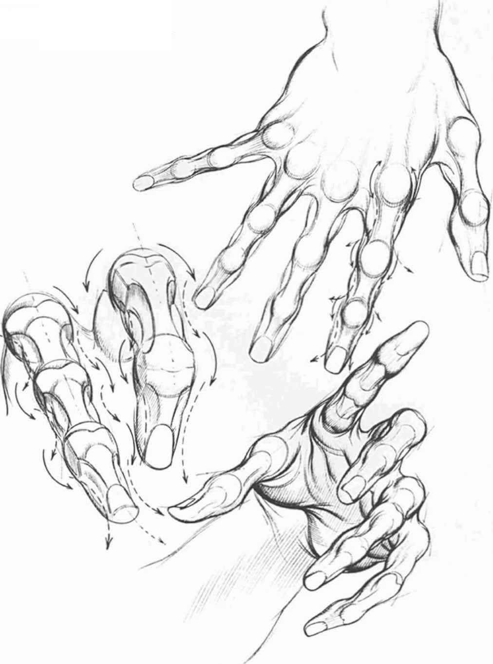 1012x1362 Human Muscle Drawings Comics Hand Research Muscles