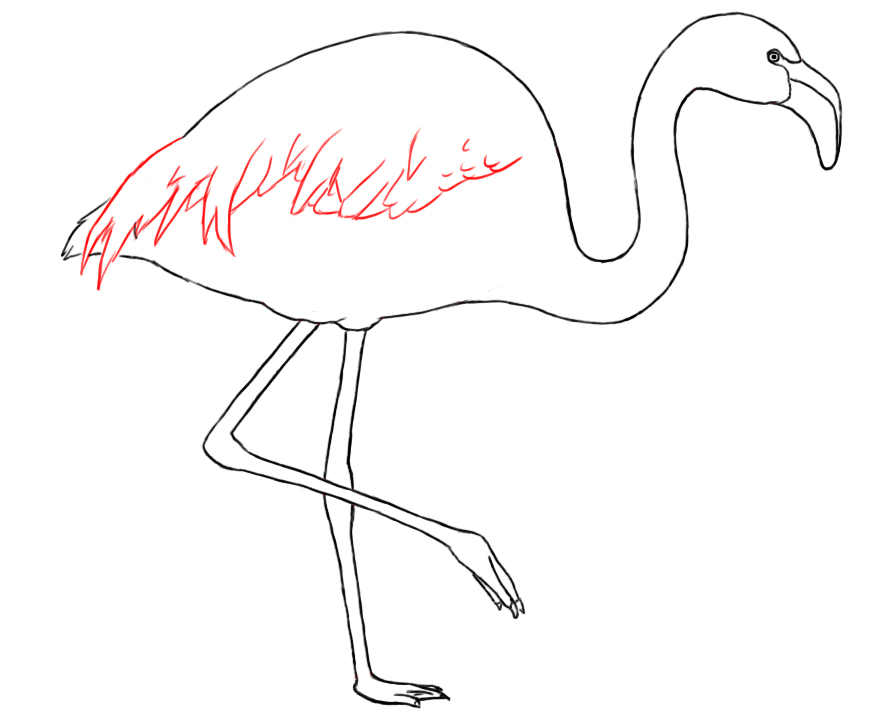 870x724 How To Draw A Flamingo