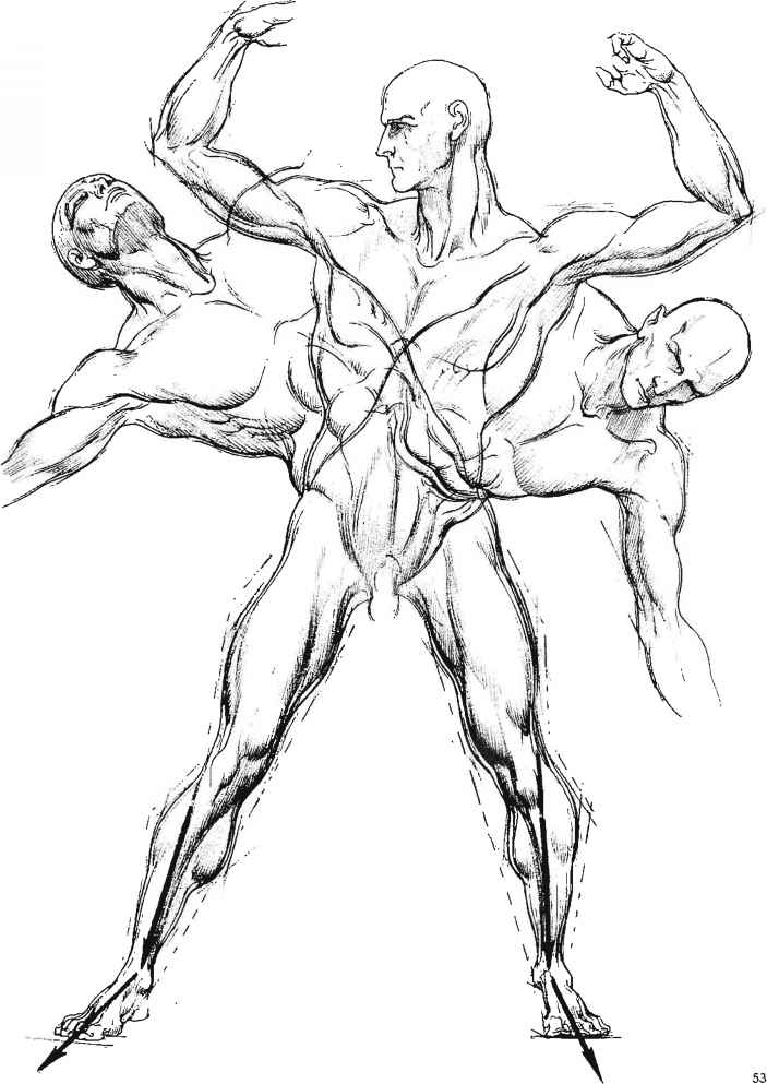 703x993 The Legs Are Secondary