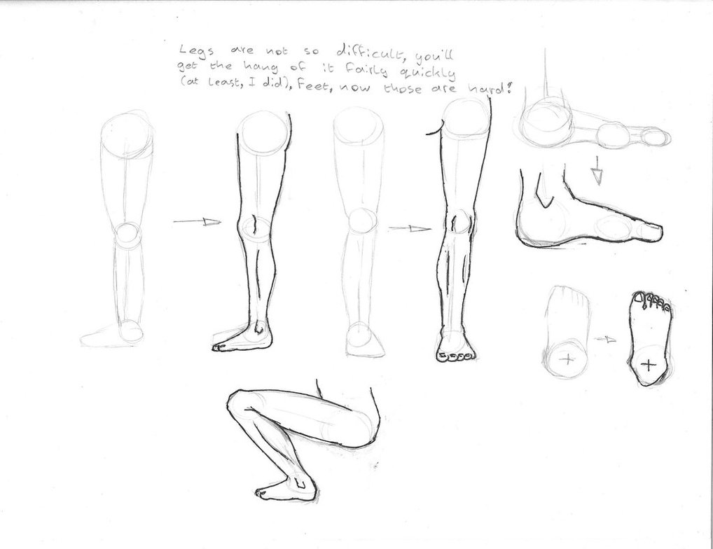 1018x784 Anatomy Legs And Feet By Tattorack