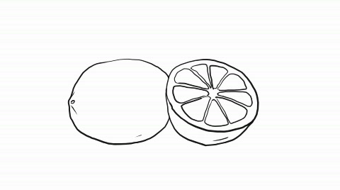 480x268 Drawing Of A Lemon, Hd ~ Video Clip