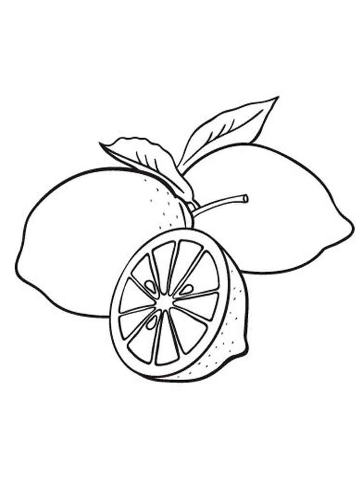 Lemon Drawing at GetDrawings | Free download
