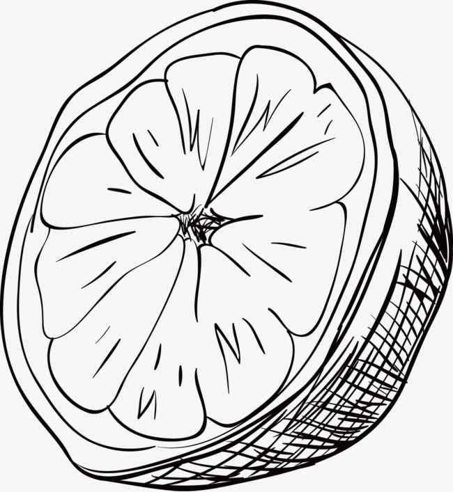 650x707 Lemon Vector, Sketch, Stick Figure, Black And White Painting Png