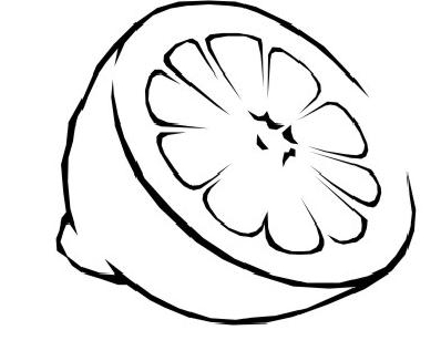 398x326 Lemon Clipart Outline