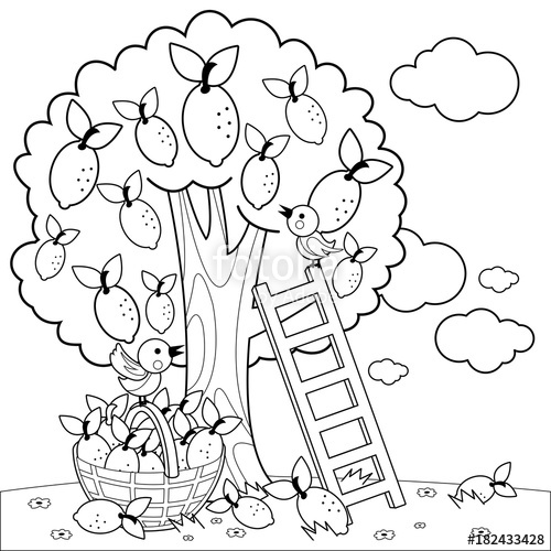 500x500 Lemon Tree Harvesting. Coloring Book Page Stock Image And Royalty