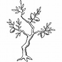 219x220 Resultado De Imagem Para Lemon Tree Drawing Tattoos