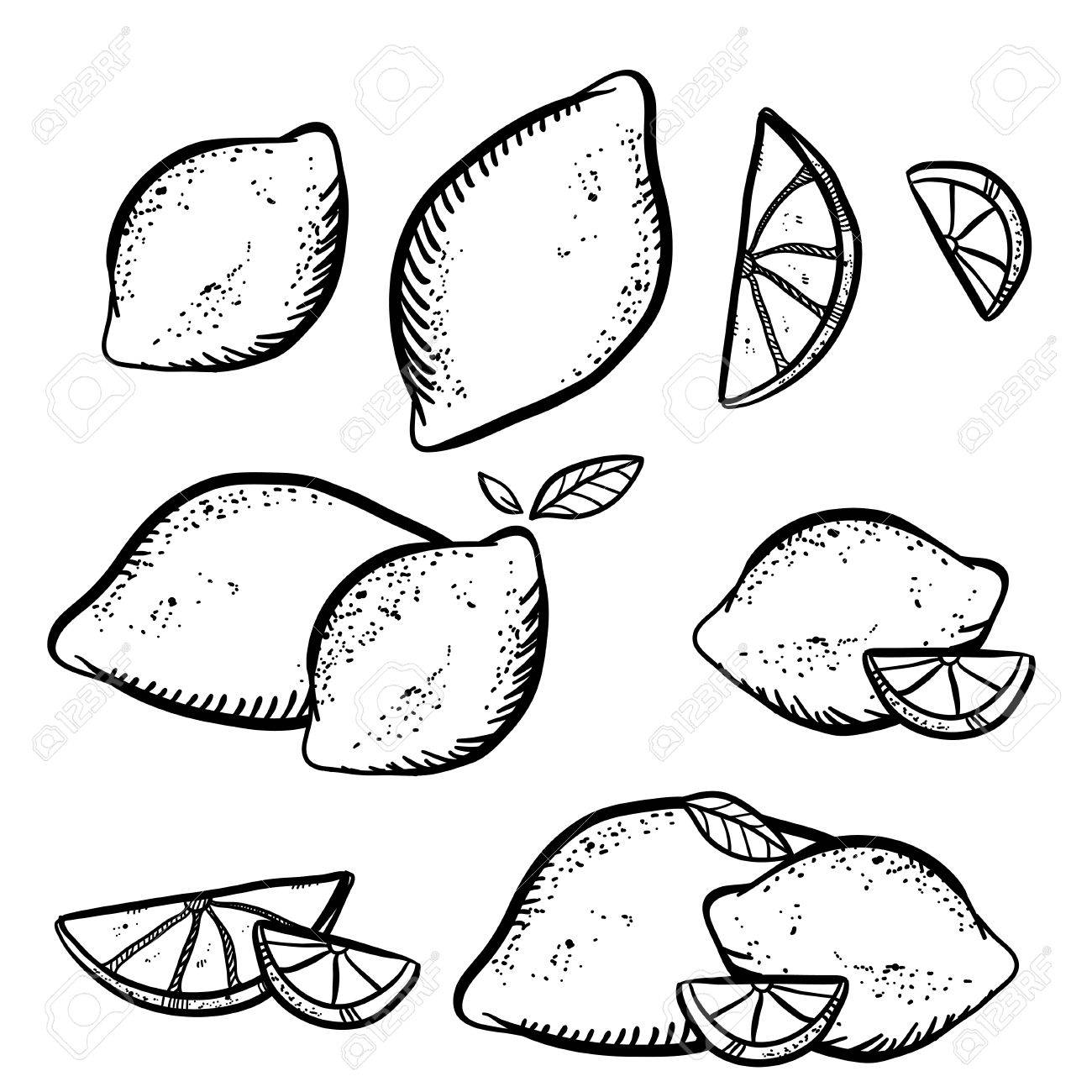 1300x1300 Vector Illustration With Sketch Lemons. Set Of Doodle Lemons