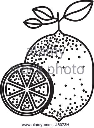 300x409 Black Silhouette Of Half Lemon Stock Vector Art Amp Illustration