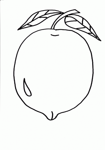 Lemons Drawing at GetDrawings | Free download