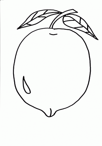 337x480 Lemon Coloring Pages For Free