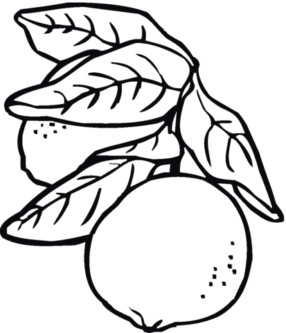 413x480 Lemon 8 Coloring Page Free Printable Coloring Pages