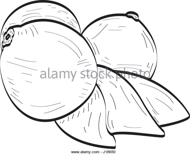 640x520 Lemons Black And White Stock Photos Amp Images