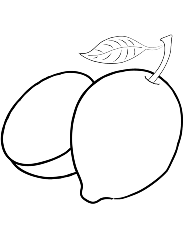 371x480 Two Lemons Coloring Page Free Printable Coloring Pages