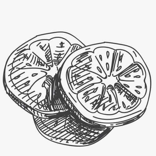 500x500 Lemon Slices Stick Figure, Food Sketch, Black And White Sketch