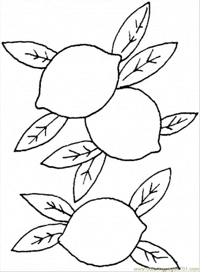 650x886 Coloring Pages Lemon 1 (Food Amp Fruits Gt Lemons And Limes)