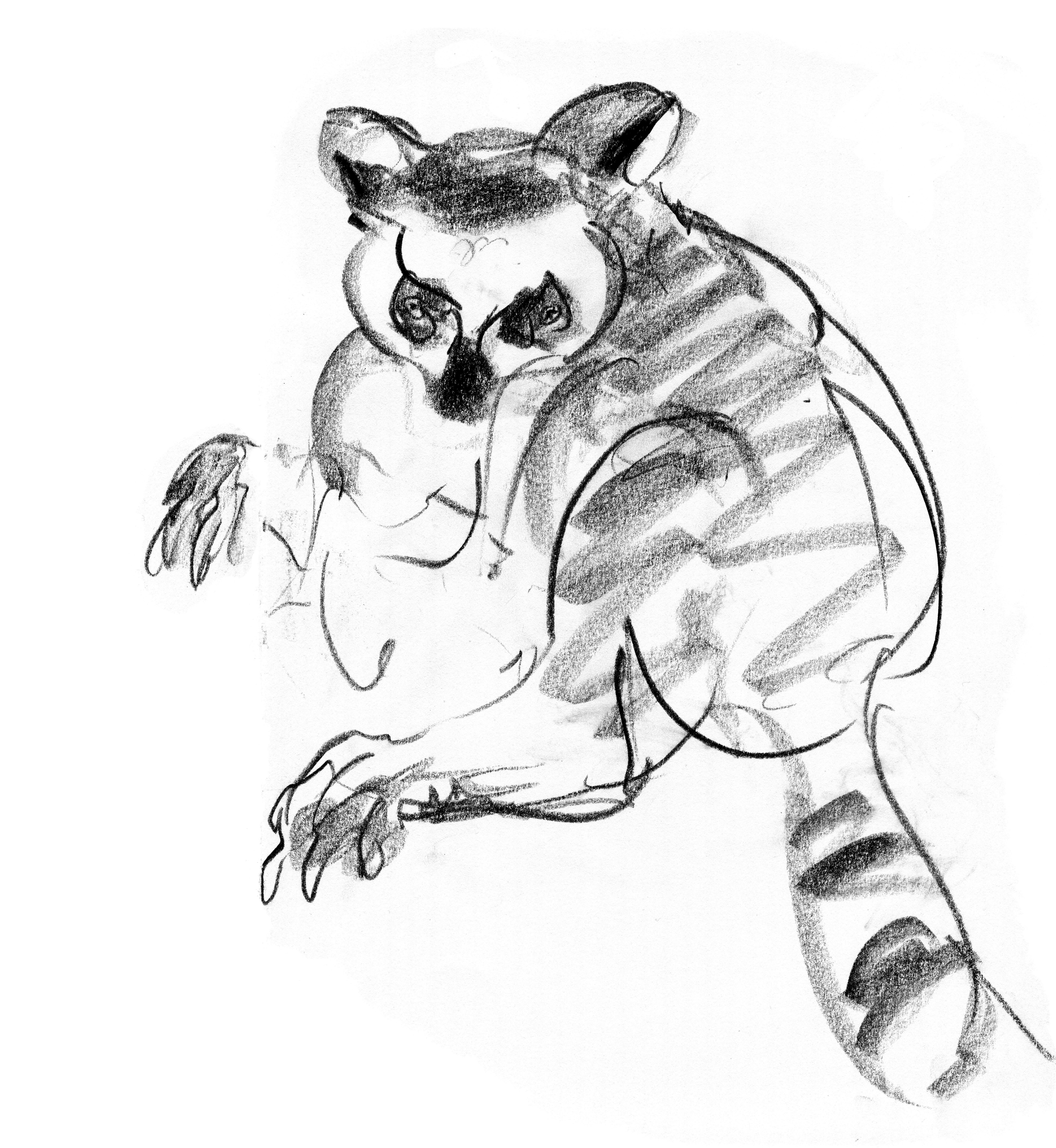 6510x7076 Other Animals Louwilde