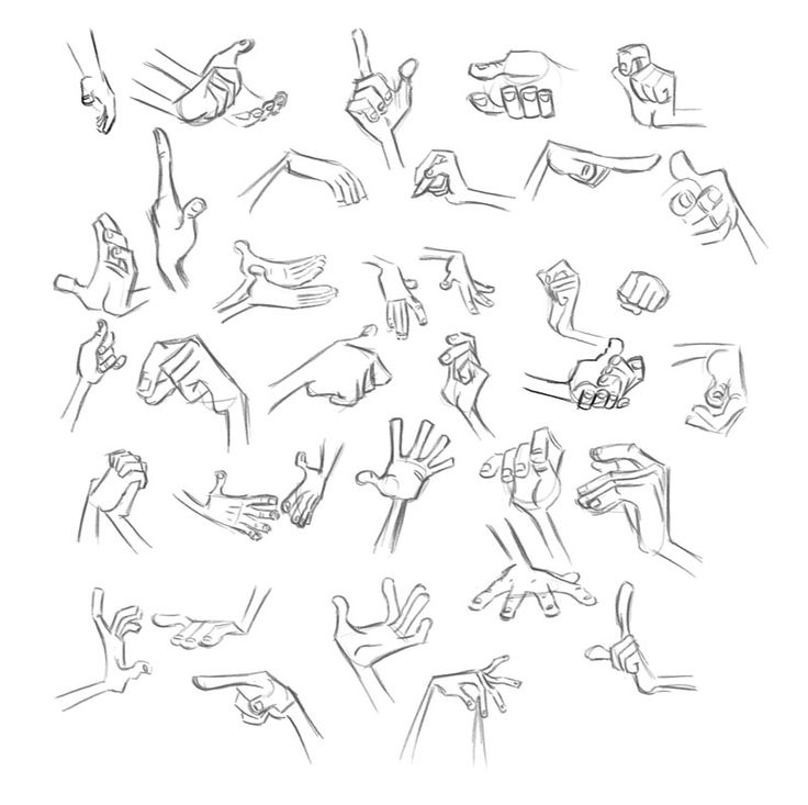 736x733 768 Best Art Human Anatomy Images On Sketches