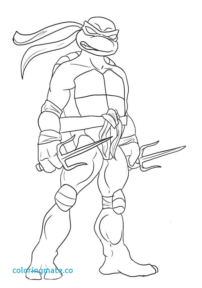 650x927 Ninja Turtles Coloring Page Inspirational Leonardo Ninja Turtle
