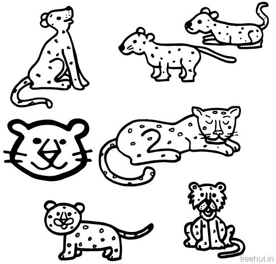561x536 Leopard Drawing And Coloring Pages