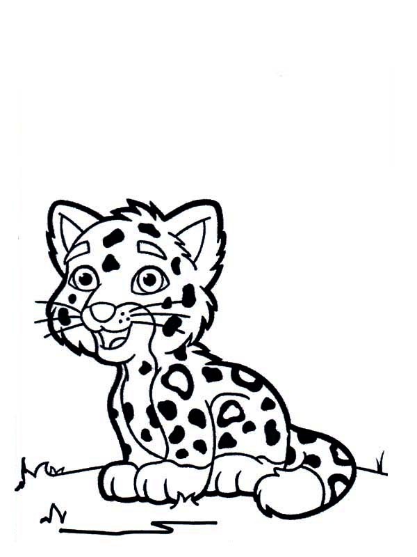 600x800 Cartoon Drawing Of A Cute Tiger Cub Coloring Page Colouring