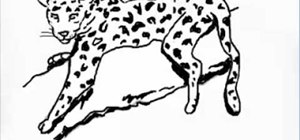 300x140 How To Draw A Leopard Drawing Amp Illustration Wonderhowto