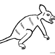 220x220 Leopard Coloring Pages, Drawing For Kids, Videos For Kids