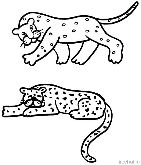 462x541 Leopard Drawing And Coloring Pages