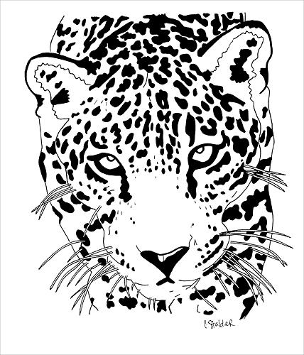 428x500 Jaguar 1 Drawing By Candace Stalder