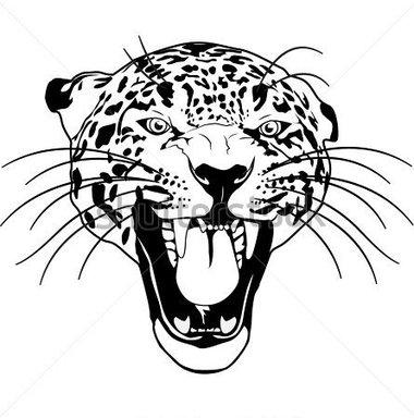 380x384 Leopard Head Clipart