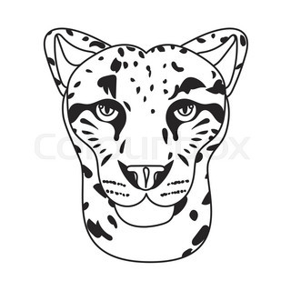 320x320 Leopard Face Stock Vector Colourbox