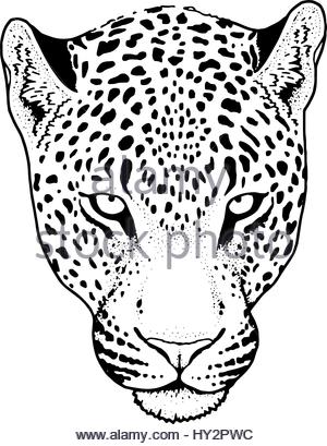 300x409 Leopard Face Tattoo ,vector Illustration, Print Stock Vector Art