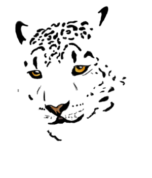 300x351 Snow Leopard Face By Jadeyjade
