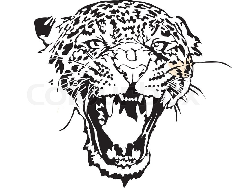 800x650 Stock Illustration