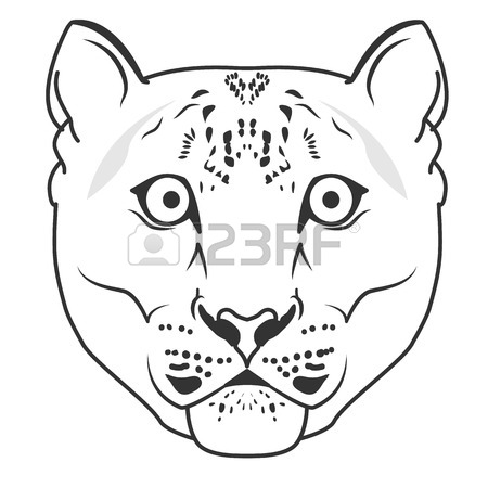 450x450 The Head Of The Snow Leopard, Full Face, Symmetry, Black