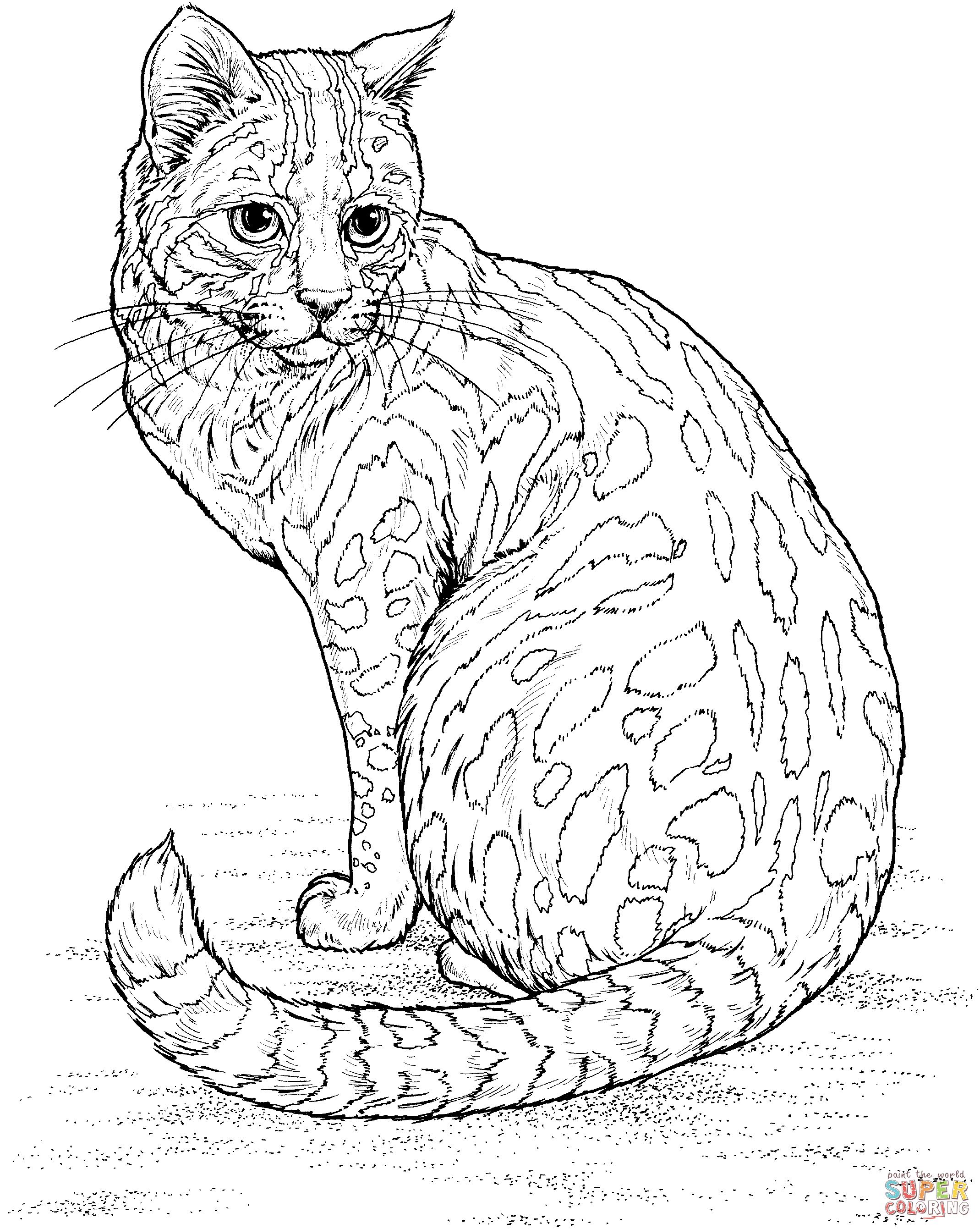 2139x2681 Leopard Cat Coloring Page Free Printable Coloring Pages