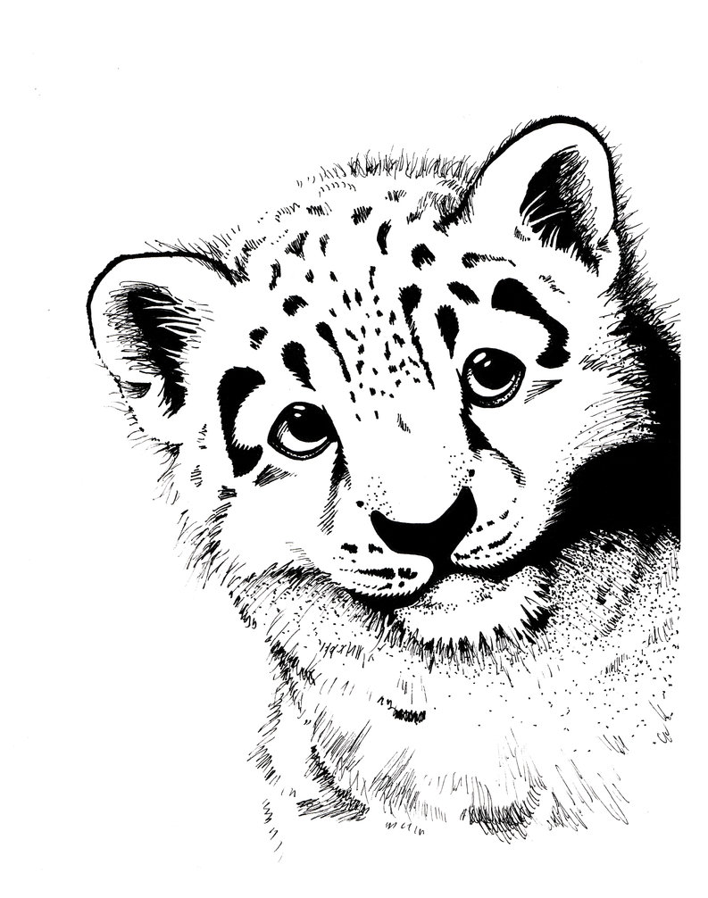 793x1006 Leopard Cub By Spohniscool