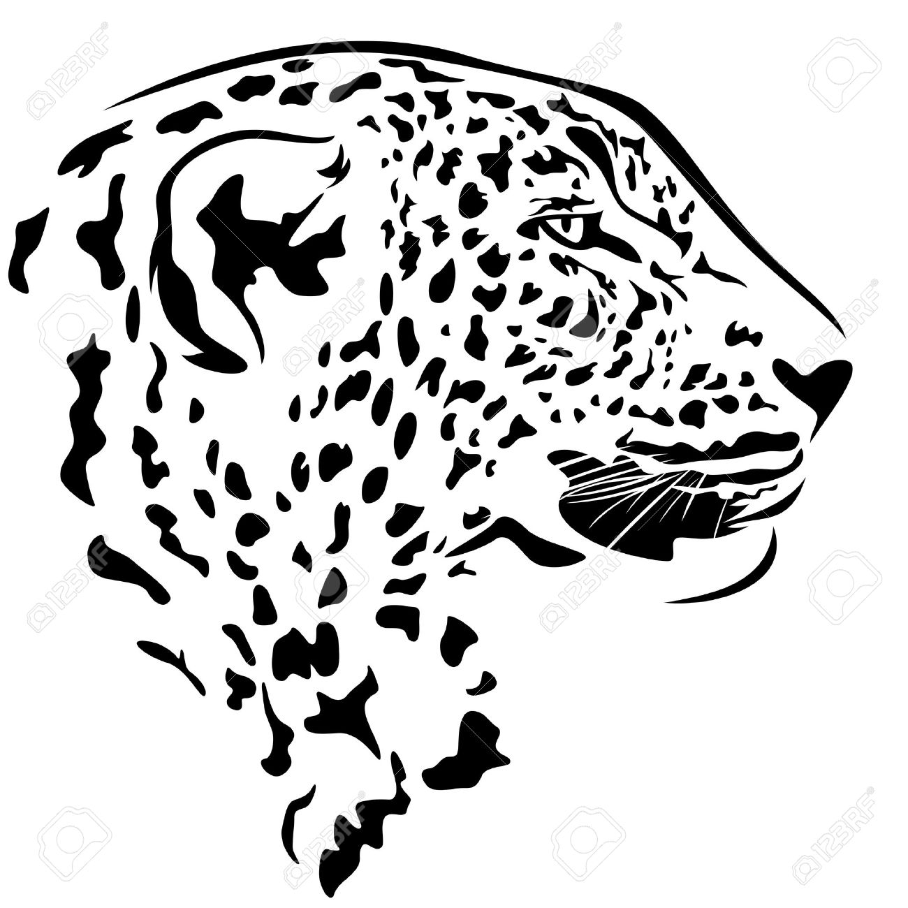 1300x1300 Leopard Head Profile Design