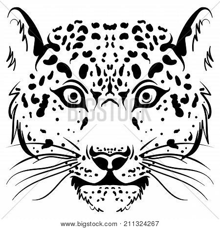 450x470 Leopard Images, Illustrations, Vectors