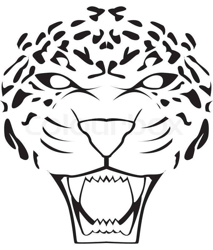 682x800 Leopard Face Stock Vector Colourbox