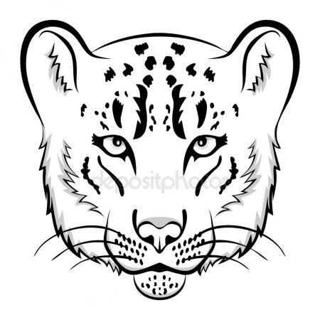 Leopard Head Drawing at GetDrawings | Free download