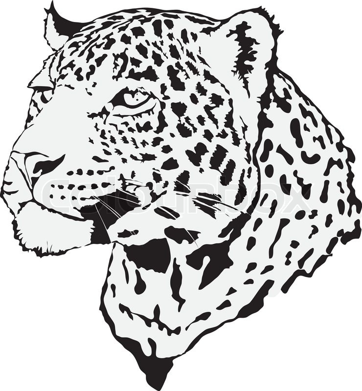 740x800 Stock Illustration