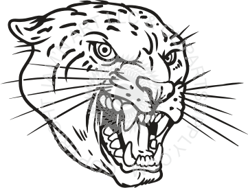 361x274 Leopard Head Image