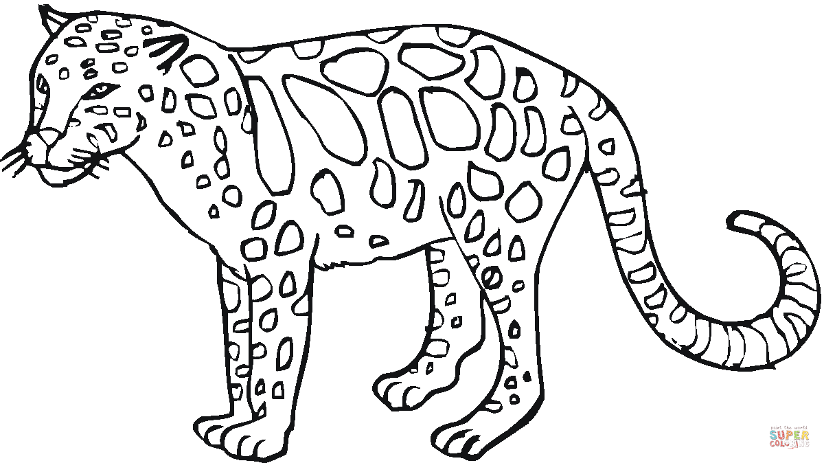 1200x674 Leopard 27 Coloring Page Free Printable Coloring Pages