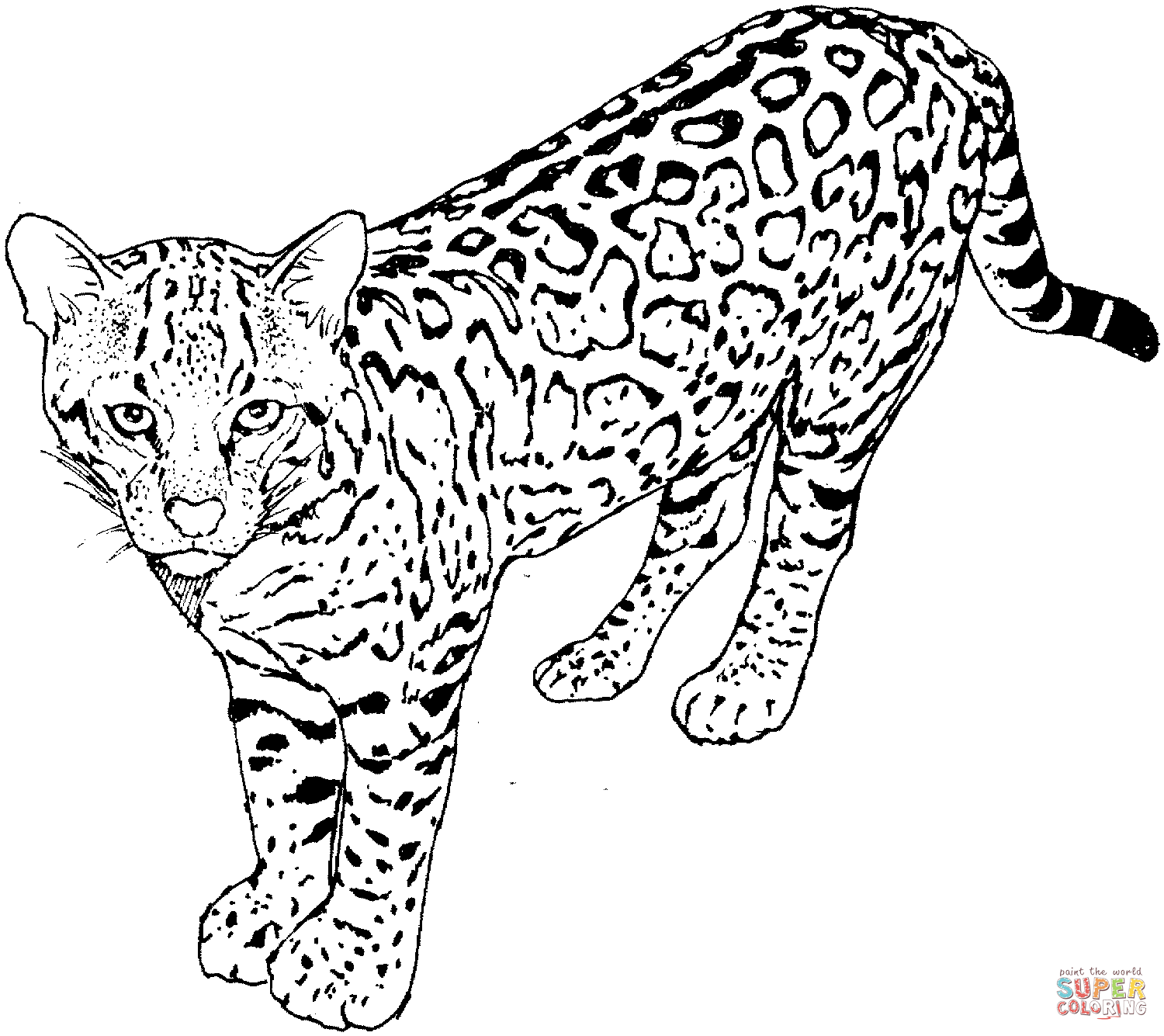 1500x1335 Leopard 5 Coloring Page Free Printable Coloring Pages