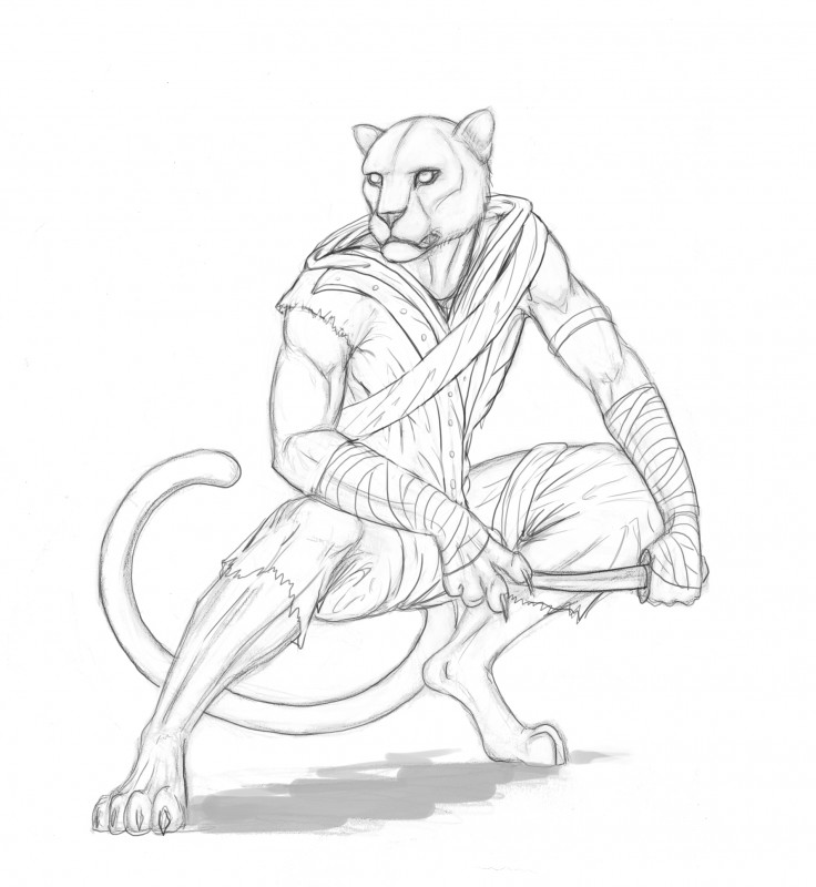 736x800 Line Drawing