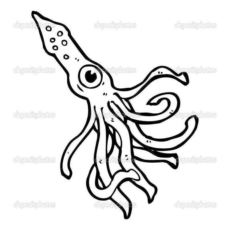 800x800 Food Chain Of The Leopard Seal