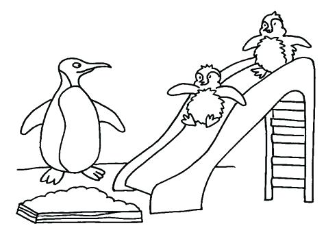 476x333 Leopard Coloring Pages Coloring Pages Of Penguins Baby Snow
