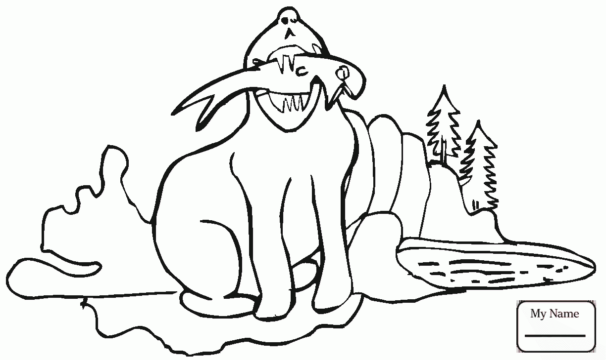 1224x729 A Seal Push The Ball Mammals Seals Coloring Pages For Kids