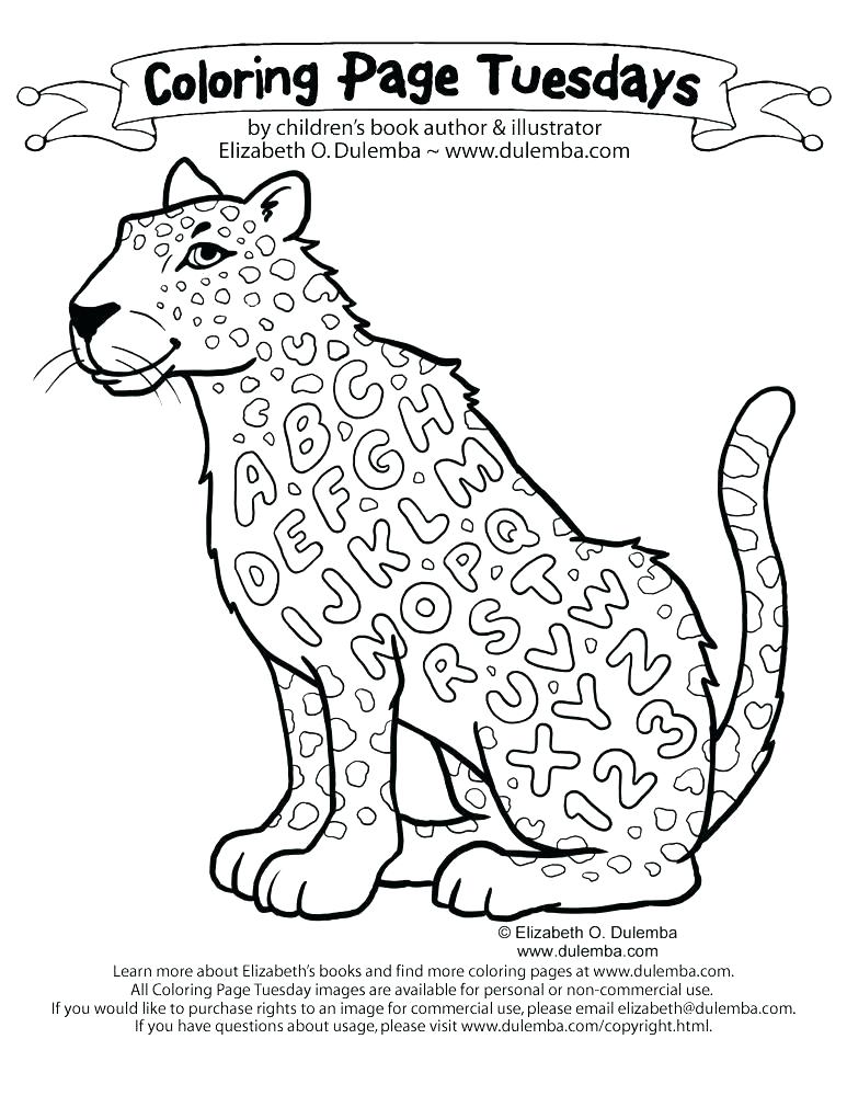 773x1000 Baby Seal Coloring Pages